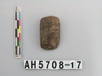 藏品(磨製石錛)的圖片